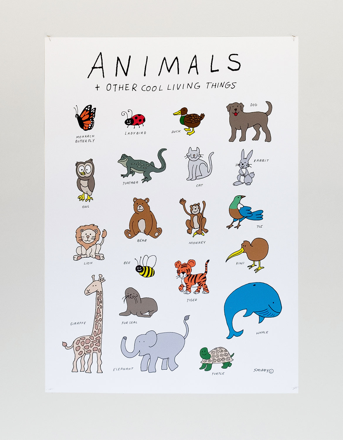 Animals